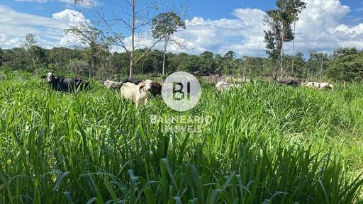 Lote/Terreno no bairro ZONA RURAL, em Rio Preto da Eva | Eu Corretor