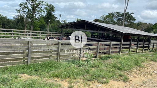 Lote/Terreno no bairro ZONA RURAL, em Rio Preto da Eva | Eu Corretor