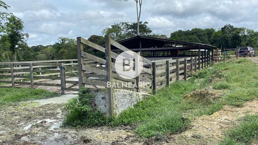 Lote/Terreno no bairro ZONA RURAL, em Rio Preto da Eva | Eu Corretor