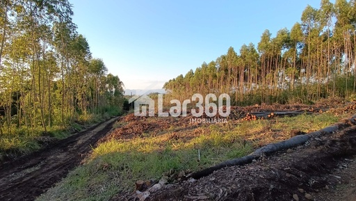 Chácara de 58500m² no bairro Macaco Branco , em Portão | Eu Corretor
