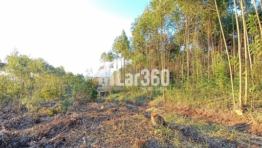 Chácara de 58500m² no bairro Macaco Branco , em Portão | Eu Corretor