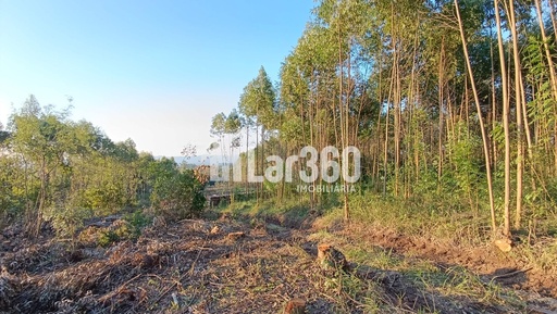 Chácara de 58500m² no bairro Macaco Branco , em Portão | Eu Corretor