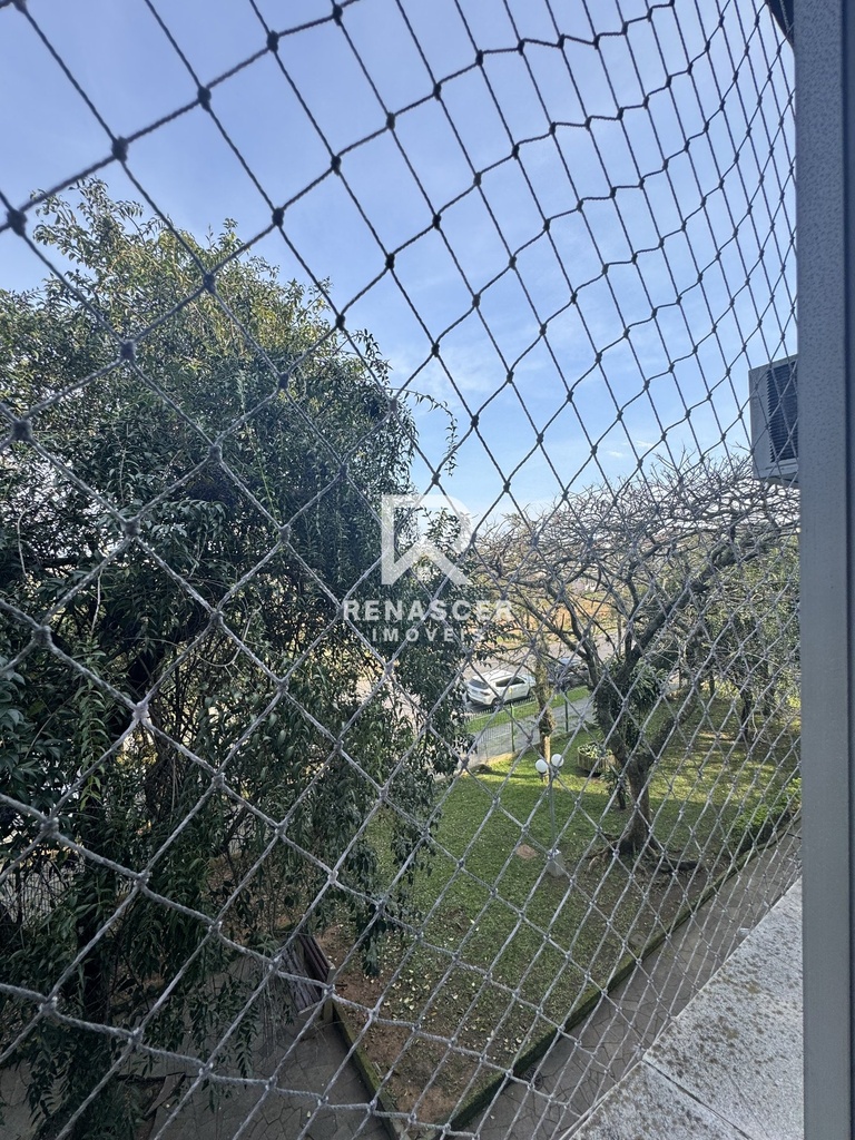 IMG_1206.jpeg