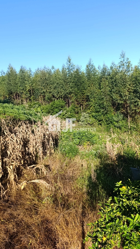 1000223757.jpg