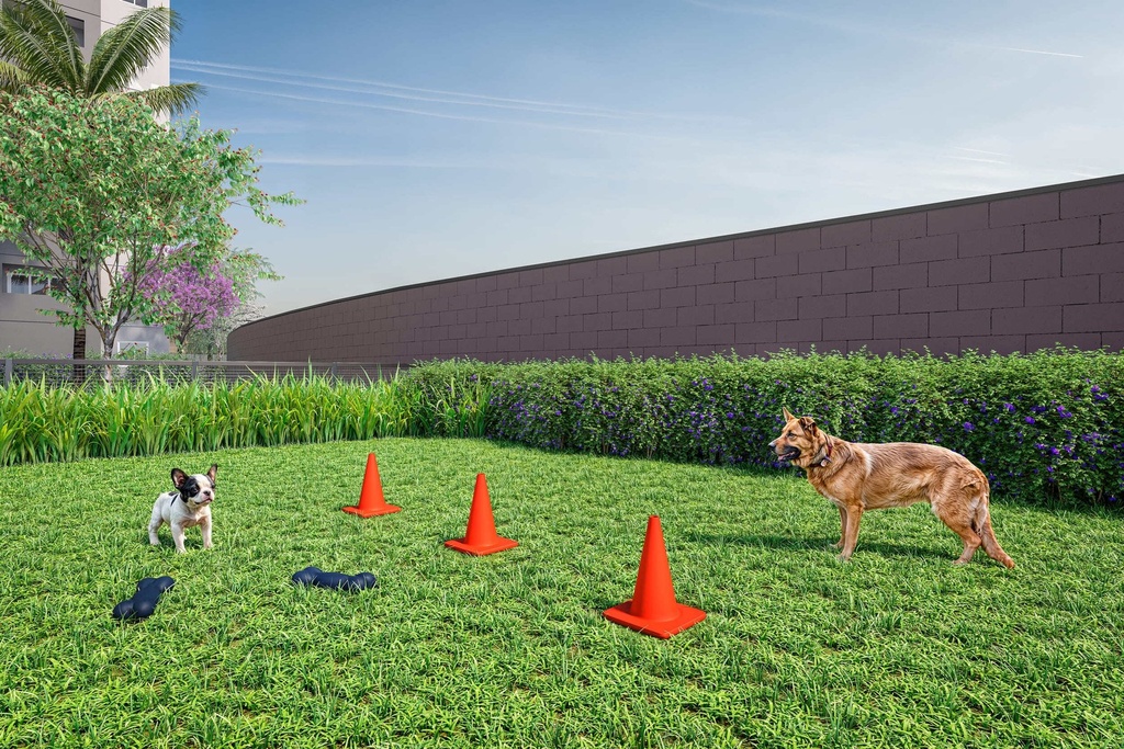 Pet place Vivaz connection Klabin.jpg