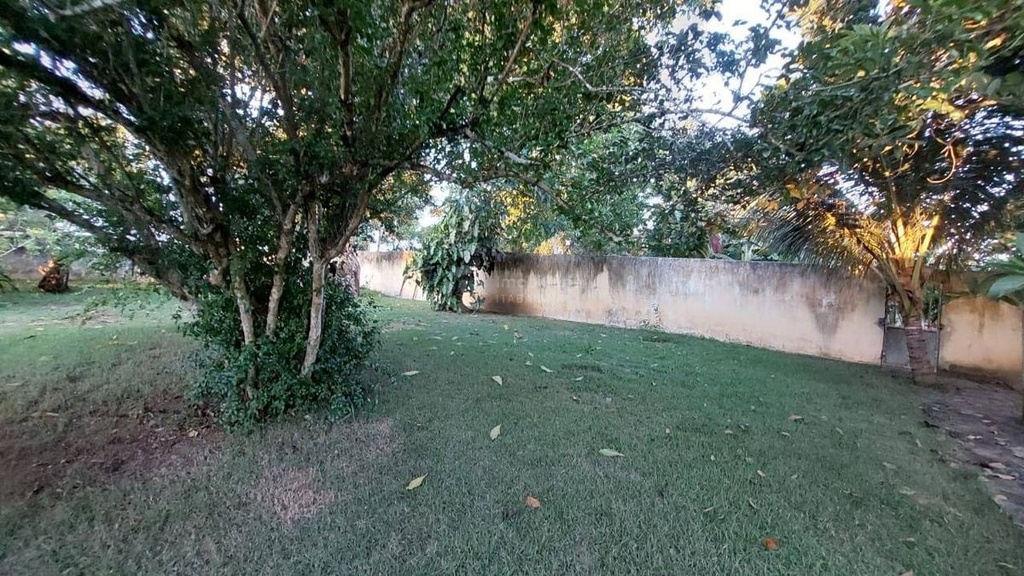 image_re_4585648.jpg