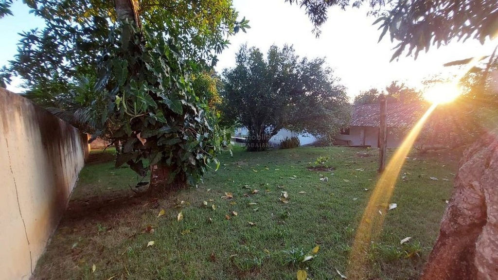 image_re_4585649.jpg