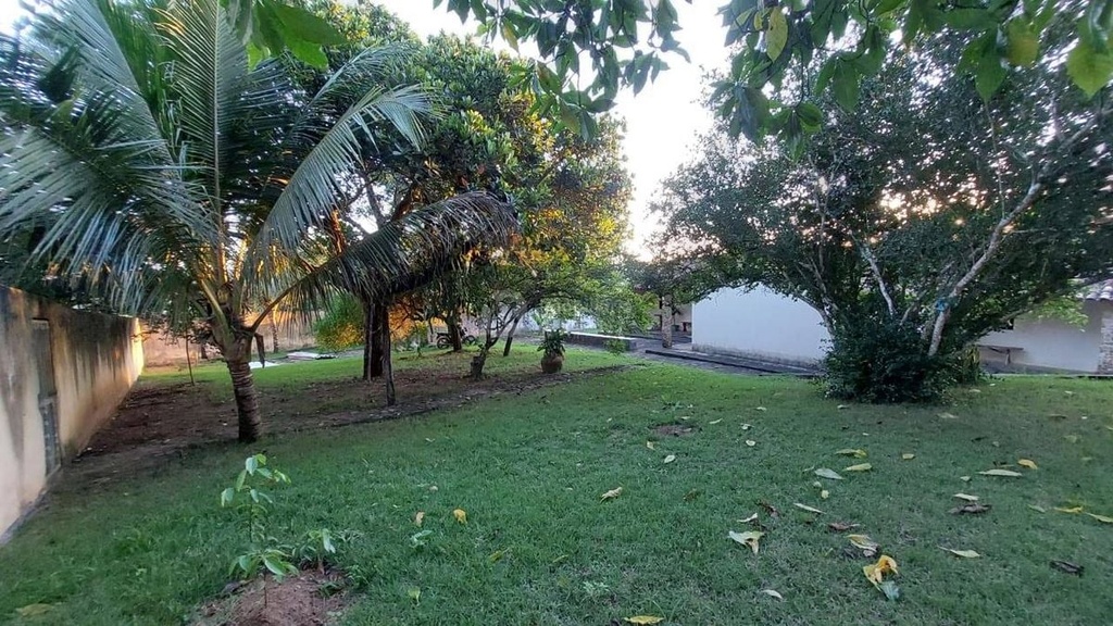 image_re_4585651.jpg