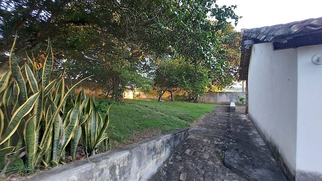 image_re_4585653.jpg