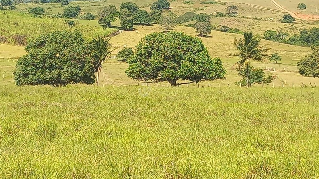 image_re_4585677.jpg