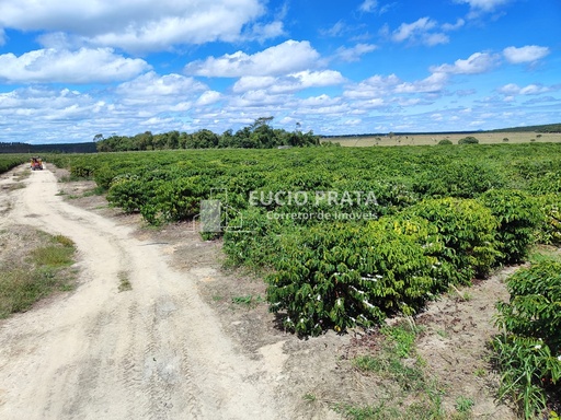 Fazenda/Sítios/Chácaras no bairro Centro, em Eunápolis | Eu Corretor