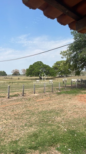 Fazenda/Sítios/Chácaras no bairro Zona rural, em Poconé | Eu Corretor