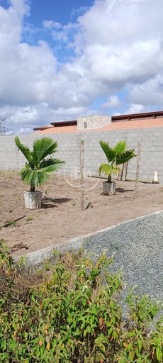 Lote/Terreno no bairro Sobradinho, em Feira de Santana | Eu Corretor