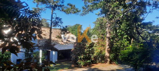 image_re_4687572.jpg
