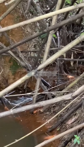 Fazenda/Sítios/Chácaras no bairro Sítio 18 alqueires , em Pancas | Eu Corretor