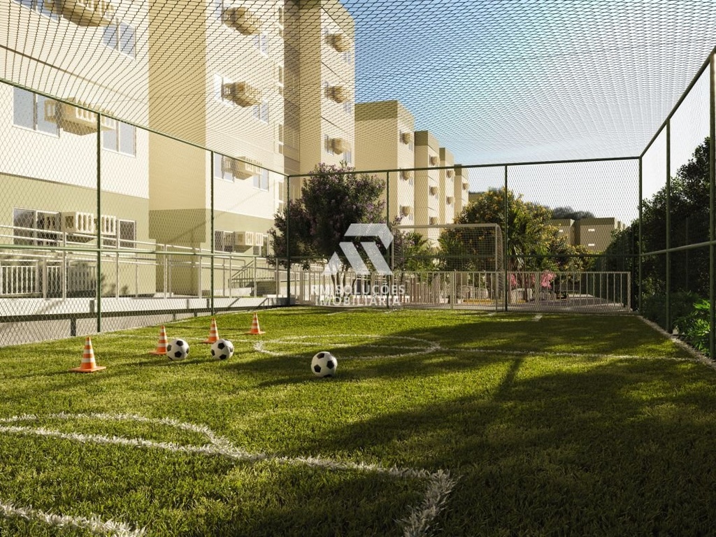 Mini-Campo.jpg