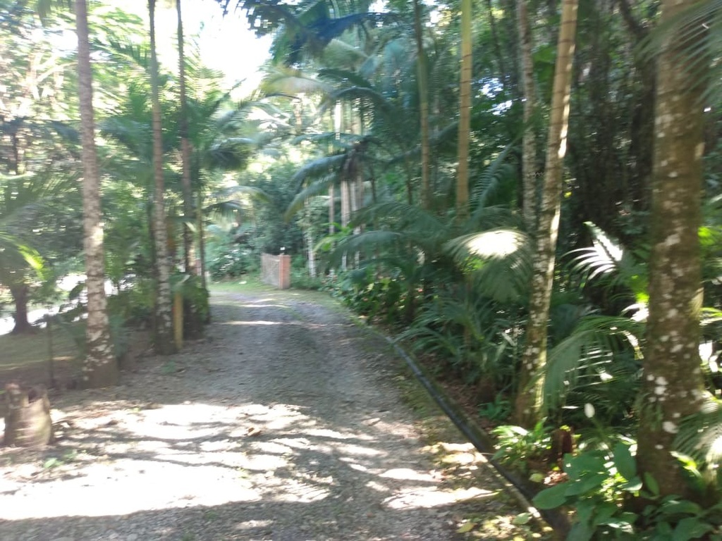 2004171714418041.jpg