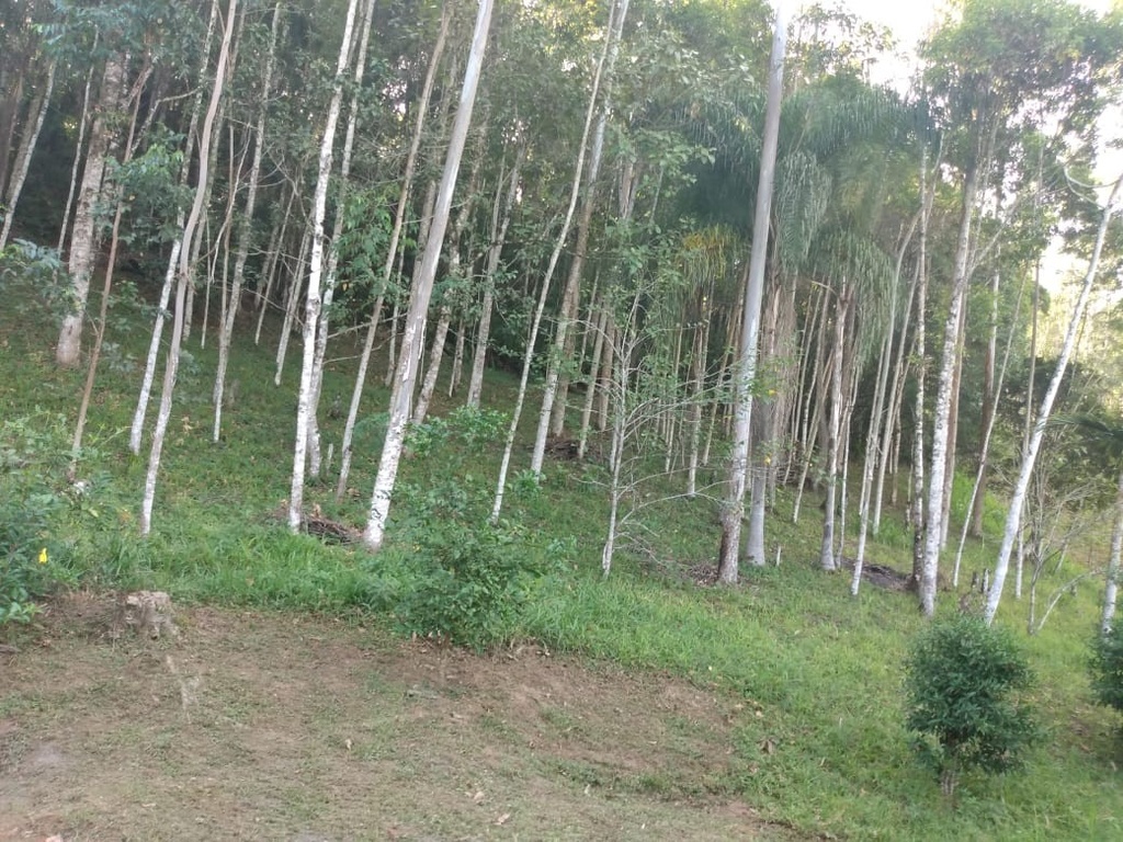2004171715133714.jpg