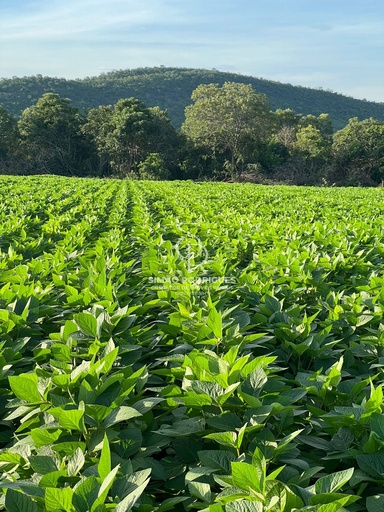 Fazenda/Sítios/Chácaras de 20900000m² no bairro Zona Rural, em Apiacás | Eu Corretor