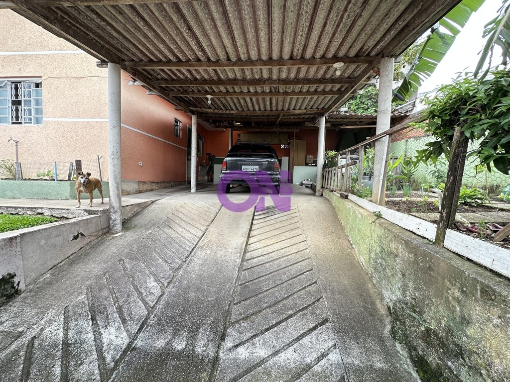 IMG_2371.jpeg