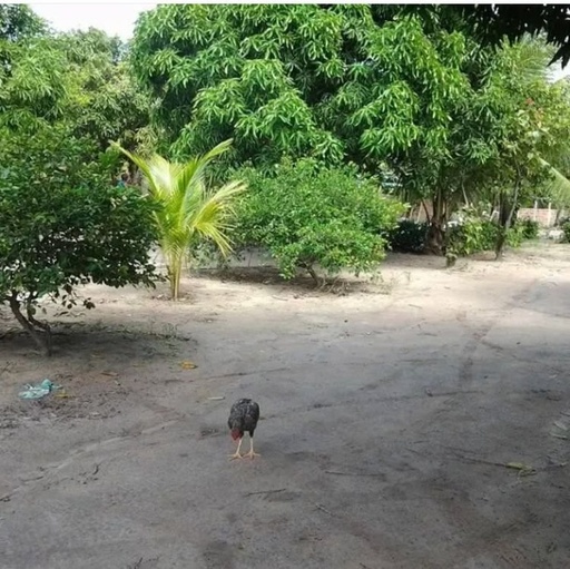 Chácara de 9 quartos, 2m² no bairro Barra de Gramame, em João Pessoa | Eu Corretor