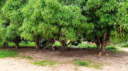 Lote/Terreno no bairro Morada Digna, em Cacoal | Eu Corretor