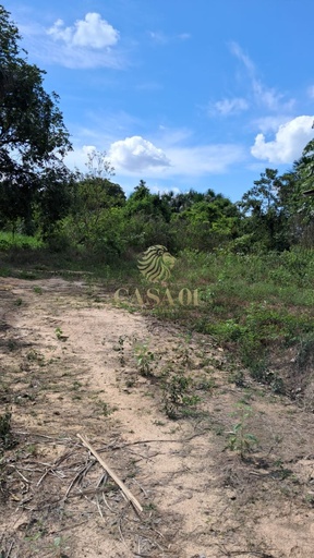 Fazenda/Sítios/Chácaras no bairro Área rural, em Cacoal | Eu Corretor