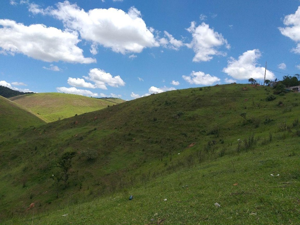 image_re_6028939.jpg