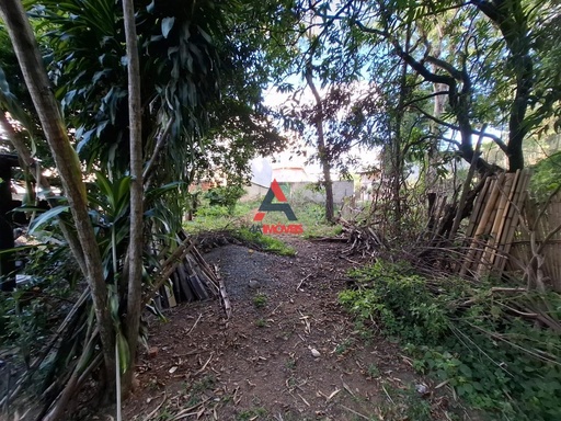 Lote/Terreno de 6400m² no bairro Caxangá, em Ubá | Eu Corretor