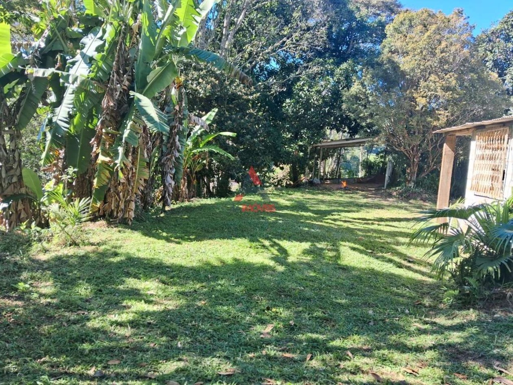 image_re_6034748.jpg