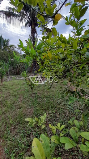 Fazenda/Sítios/Chácaras de 6 quartos, no bairro Centro , em Caratinga | Eu Corretor