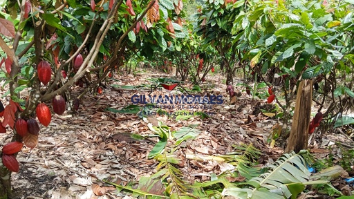 Fazenda/Sítios/Chácaras de 4 quartos, no bairro zona rural, em Valença | Eu Corretor