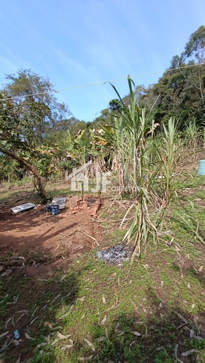 Chácara de 2 quartos, 1750m² no bairro Macaco branco , em Portão | Eu Corretor