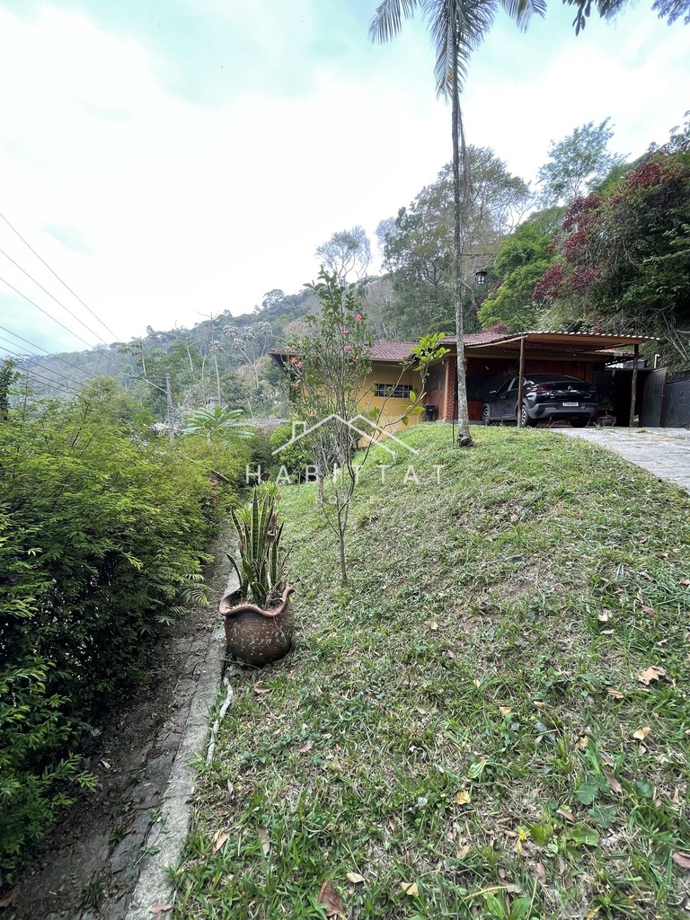IMG_4115.jpeg