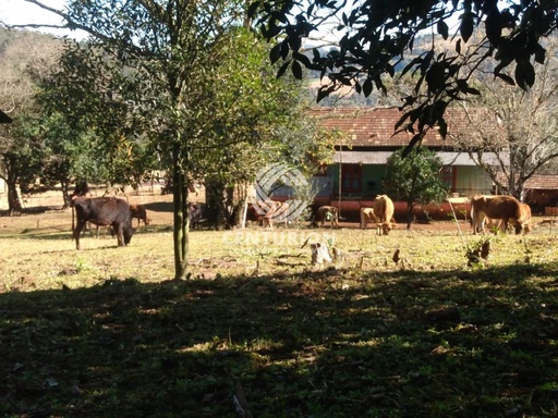 Fazenda/Sítios/Chácaras de no bairro interior, em Irani | Eu Corretor