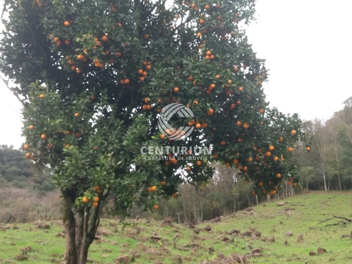 Fazenda/Sítios/Chácaras de no bairro interior, em Irani | Eu Corretor