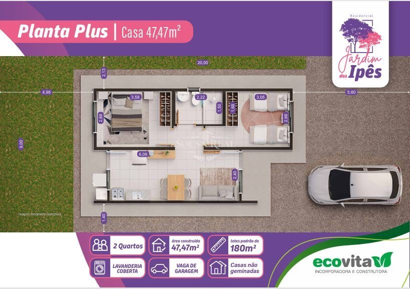 Planta 47mt.JPG