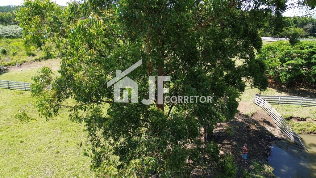 DJI_0353.JPG