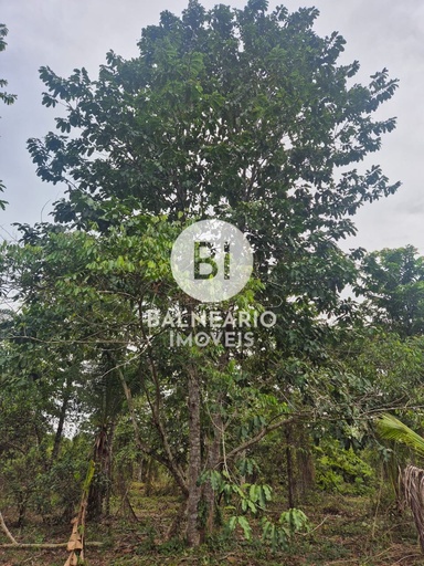 Fazenda/Sítios/Chácaras de 2 quartos, no bairro Iporá, em Rio Preto da Eva | Eu Corretor