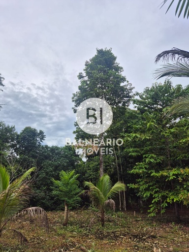 Fazenda/Sítios/Chácaras de 2 quartos, no bairro Iporá, em Rio Preto da Eva | Eu Corretor