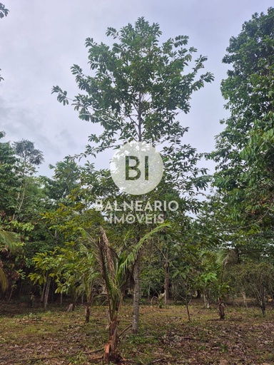 Fazenda/Sítios/Chácaras de 2 quartos, no bairro Iporá, em Rio Preto da Eva | Eu Corretor