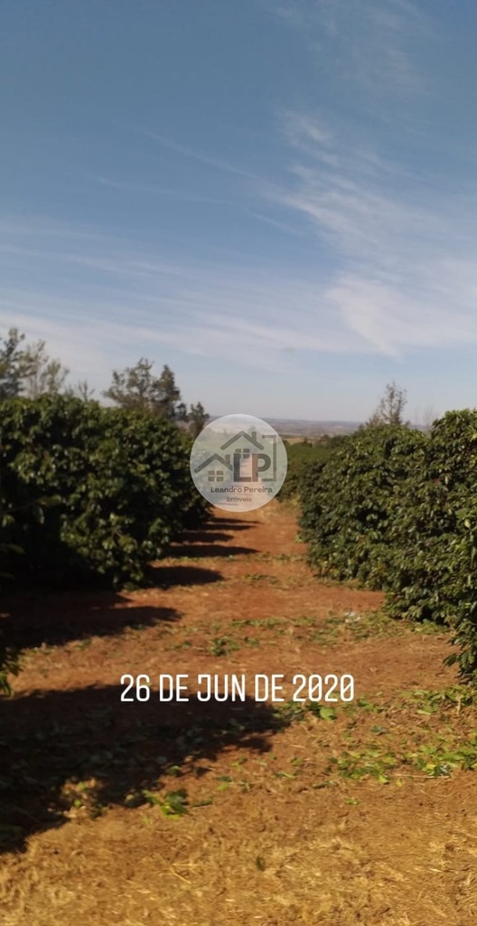 33dc227f-6ee1-4313-aaf4-f64903c6bea1.jfif