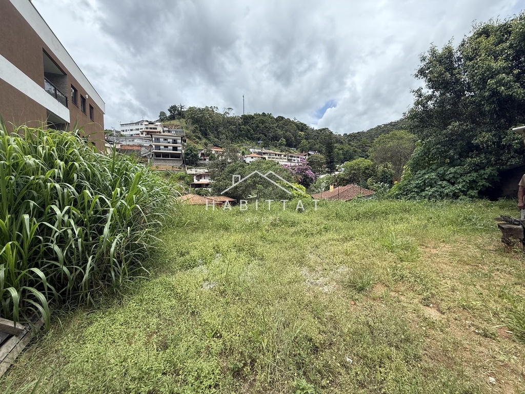 IMG_8158.jpeg