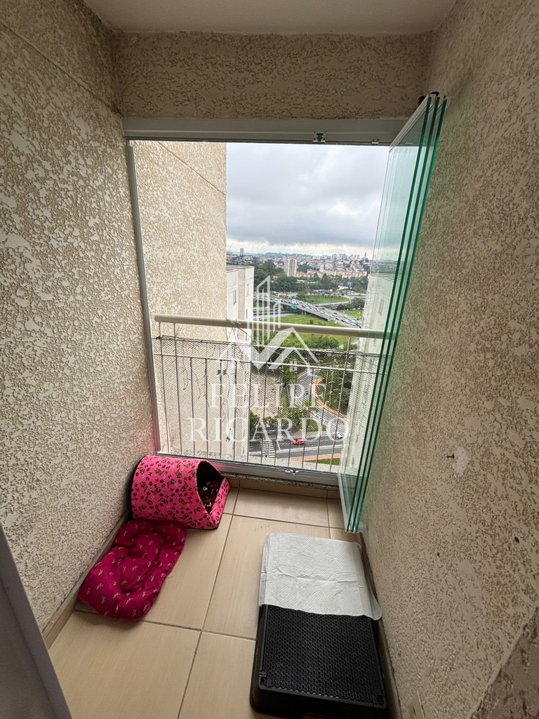 c988ef52-836d-4566-a2ca-4a57409d67ab.jpg