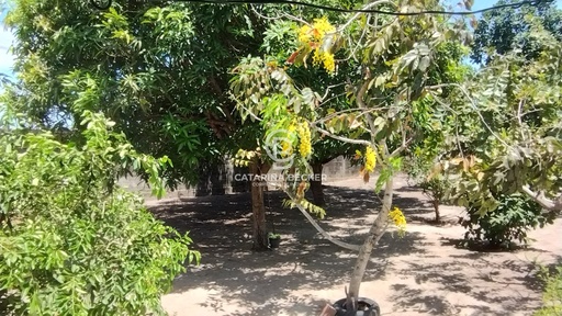 Chácara de 4 quartos, no bairro Village Jacumã , em Conde | Eu Corretor