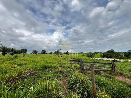 Fazenda/Sítios/Chácaras de no bairro Área rural, em Cacoal | Eu Corretor