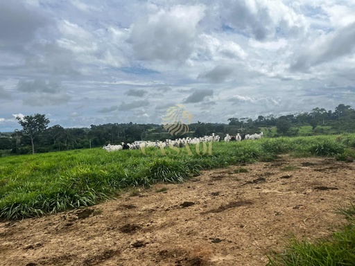 Fazenda/Sítios/Chácaras de no bairro Área rural, em Cacoal | Eu Corretor