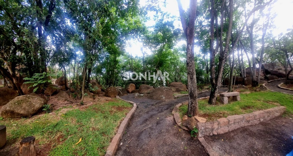 bosque.jfif