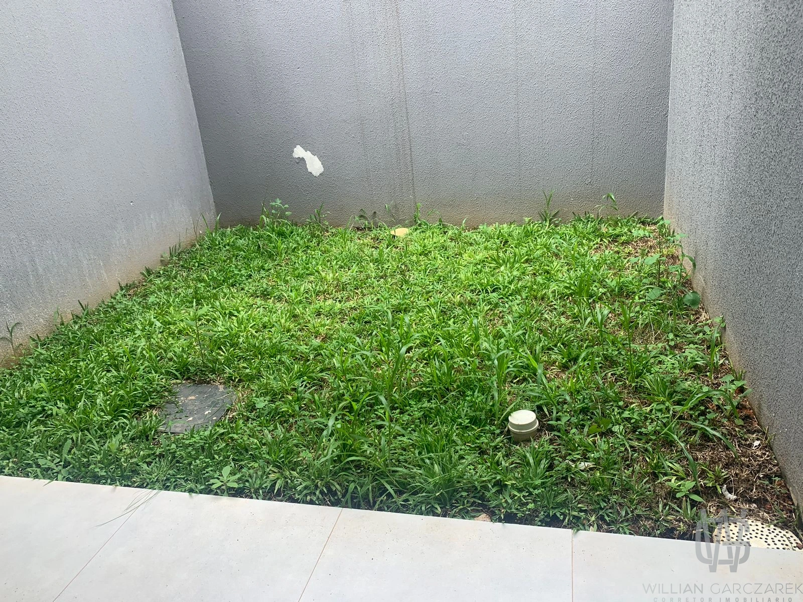 image_re_6231343.jpg