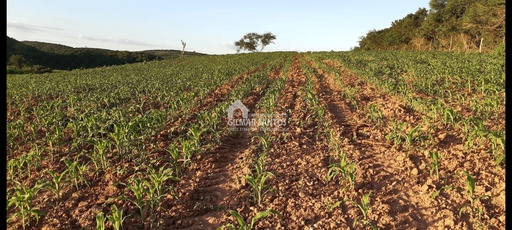 Lote/Terreno no bairro zona rural, em Sítio do Quinto | Eu Corretor